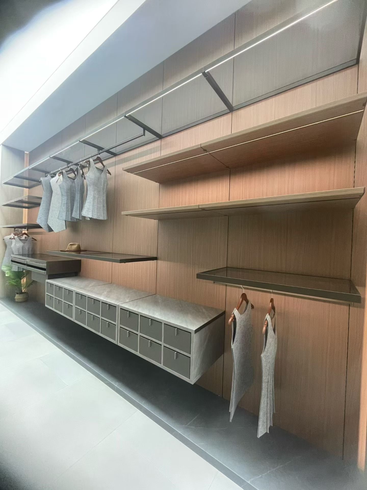 Wall-integrated dressing system with shelves, rails and drawers